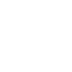 salvadoor-iconbanner